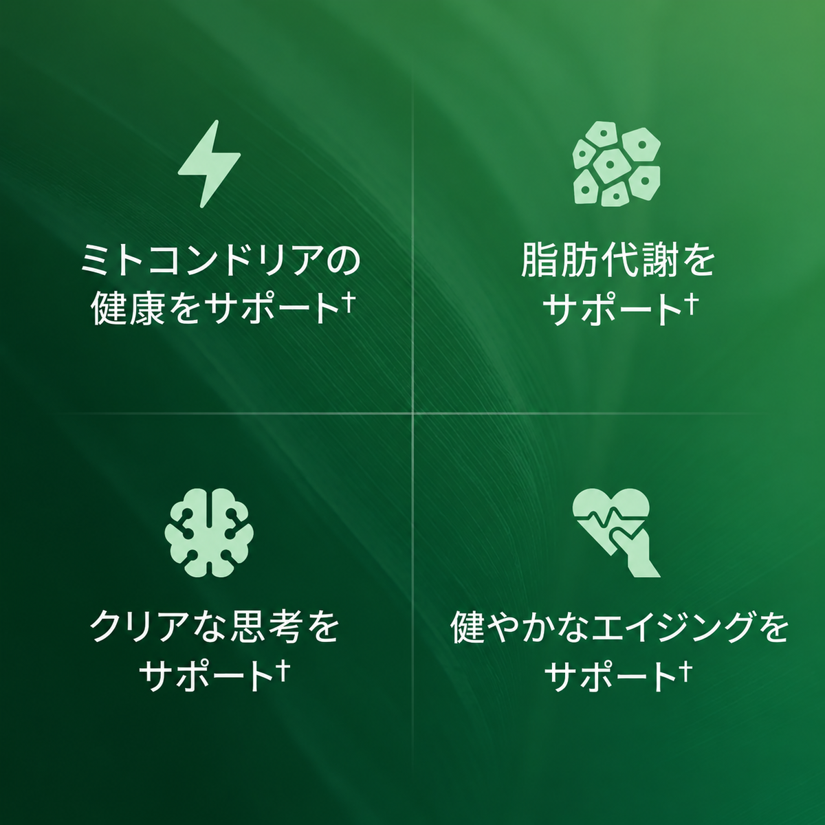 ナチュルヴェ* スーパーフルーツカプセル